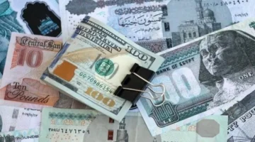 تقلبات سعر الدولار مقابل الجنيه في تعاملات البنك المركزي المصري اليوم الخميس